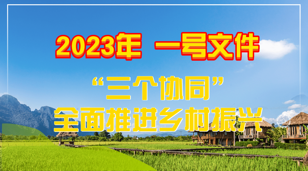 一号文件.jpg
